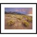 Global Gallery Sagewort on Sand Dune, Sangre De Cristo Mountains, Great Sand Dunes National Monument | 24 H x 30 W x 1.5 D in | Wayfair