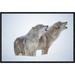 Global Gallery Timber Wolves Close-Up Portrait of Pair Howling in Snow, North America by Tim Fitzharris Framed Photographic Print on Canvas | Wayfair