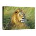 Global Gallery 'African Lion, Masai Mara, Kenya' by Frank Krahmer Photographic Print on Wrapped Canvas in Green | 12 H x 16 W x 1.5 D in | Wayfair