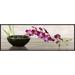 Global Gallery 'Orchid Arrangement' by Shin Mills Framed Painting Print on Canvas in Black/Green/Indigo | 12 H x 36 W x 1.5 D in | Wayfair