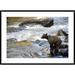 Global Gallery Grizzly Bear Fishing along Anan Creek, Tongass National Forest, Alaska by Matthias Breiter Framed Photographic Print Paper | Wayfair