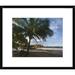 Global Gallery Palm Trees Line Pelada Beach, Costa Rica by Tim Fitzharris Framed Photographic Print Paper in Blue/Gray/Green | Wayfair