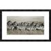 Global Gallery 'Grant's Zebra, Masai Mara, Kenya' by Frank Krahmer Framed Graphic Art Metal in Gray | 20 H x 32 W x 1.5 D in | Wayfair