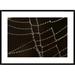Global Gallery Spider Web w/ Beads of Dew, France by Cyril Ruoso Framed Photographic Print Paper in Black | 26 H x 1.5 D in | Wayfair