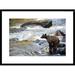Global Gallery Grizzly Bear Fishing along Anan Creek, Tongass National Forest, Alaska by Matthias Breiter Framed Photographic Print Paper | Wayfair