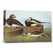 Global Gallery 'Long Tailed Duck' by John James Audubon Painting Print on Wrapped Canvas Canvas | 15.62 H x 22 W x 1.5 D in | Wayfair