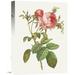 Global Gallery 'Rosa Centrifolia Foliacea' by Pierre Redoute Painting Print on Wrapped Canvas Metal | 32 H x 24 W x 1.5 D in | Wayfair