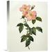 Global Gallery 'Rosa Indica Frangras (Flora Simplici)' by Pierre Joseph Redoute Painting Print on Wrapped Canvas Canvas | Wayfair GCS-279566-22-142