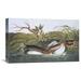 Global Gallery 'American Pied Bill Dobchick' by John James Audubon Painting Print on Wrapped Canvas Canvas | 13.9 H x 22 W x 1.5 D in | Wayfair