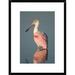 Global Gallery 'Roseate Spoonbill, Fort Myers Beach, Florida' Framed Photographic Print Paper in Gray/Pink | 24 H x 18 W x 1.5 D in | Wayfair