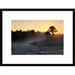 Global Gallery 'Buriti Palm Gallery Forest Along Formoso River, Emas National Park, Brazil' Framed Photographic Print Paper in Blue/Brown | Wayfair