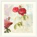 Global Gallery 'Redoute's Roses 2.0 II' by Chestier Framed Graphic Art Paper in Brown | 38 H x 38 W x 1.5 D in | Wayfair DPF-465856-3030-225