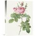 Global Gallery 'Rosa Bifera Officinalis' by Pierre Redoute Painting Print on Wrapped Canvas Canvas | 24 H x 18 W x 1.5 D in | Wayfair