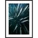 Global Gallery 'Chevron Barracuda School, Sipadan Island, Celebes Sea, Borneo, Malaysia' Framed Photographic Print Paper in Black/Blue | Wayfair