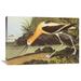 Global Gallery 'American Avocet' by John James Audubon Painting Print on Wrapped Canvas Canvas | 12 H x 18 W x 1.5 D in | Wayfair
