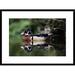 Global Gallery 'Wood Duck on Water, British Columbia, Canada' Framed Photographic Print Paper in Gray/Green | 22 H x 30 W x 1.5 D in | Wayfair