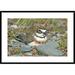 Global Gallery 'Double-Banded Plover on Ground Nest, Lake Ellesmere, New Zealand' Framed Photographic Print Paper in White | Wayfair