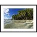 Global Gallery 'Palm Trees & Beach, Palmyra Atoll Nwr, Us Line Islands' Framed Photographic Print Paper in White | 26 H x 36 W x 1.5 D in | Wayfair