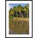 Global Gallery 'Coconut Palm Trees Line Black Sand Beach' Framed Photographic Print Paper in Brown/Green | 42 H x 30 W x 1.5 D in | Wayfair