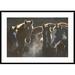 Global Gallery 'Horse Herd at Annual Round-Up' Framed Photographic Print Paper in Black/Brown | 30 H x 42 W x 1.5 D in | Wayfair