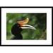 Global Gallery 'Rhinoceros Hornbill Profile' Framed Photographic Print Paper in Green | 22 H x 30 W x 1.5 D in | Wayfair DPF-453010-1624-266