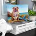 Trinx Poynor 'Mermaid Dog' Painting Print on Canvas in Blue/Brown | 18 H x 24 W x 2 D in | Wayfair VRKG2061 38248164