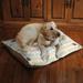 Tucker Murphy Pet™ Edna Dog's Love Fleece Dog Bed Polyester/Cotton in Brown | 10 H x 40 W x 30 D in | Wayfair 4843B4BC5433450E8E9312E5A8CF8371