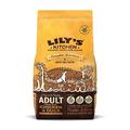 Lily's Kitchen Hundefutter