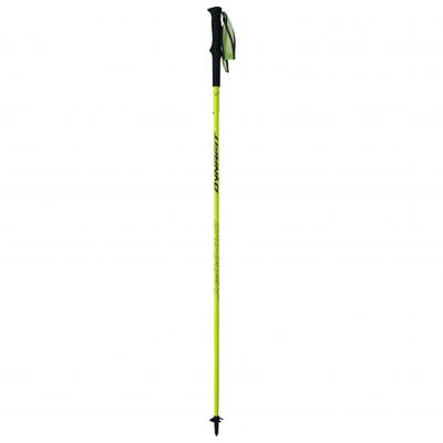 Dynafit - Vertical Pole - Trailrunning Stöcke Gr 120 cm general lee /blau Image
