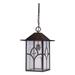 Nuvo Lighting 65644 - 1 Light 17" Claret Bronze Clear Seeded Glass Shade Hanging Lantern Light Fixture (STANTON 1 LT OUTDOOR HANGING)