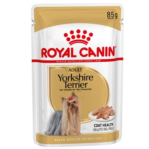 12 x 85g Yorkshire Terrier Royal Canin Hundefutter nass