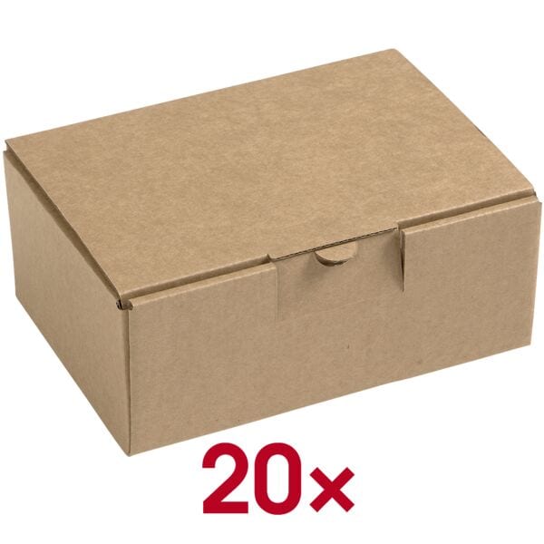 Quali Well Mehrzweckkartons mit Klappdeckel 16,0/11,0/6,4 cm - 20 Stück braun, 16x6.4x6.4 cm Image