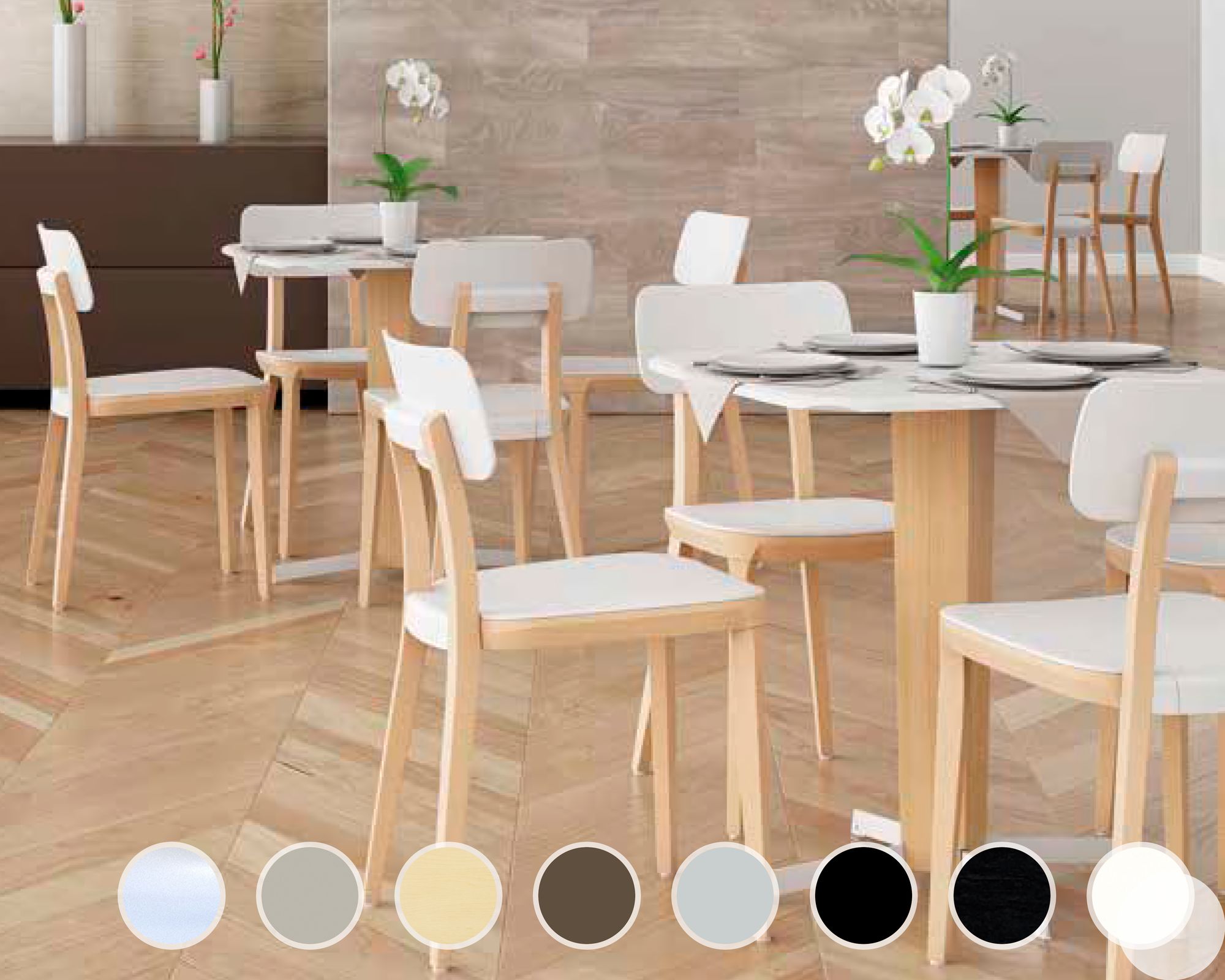 infiniti »PORTA VENEZIA« Designer-Stuhl FGTA04 Schwarz gebeizt / S021 Perlgrau