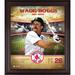 Wade Boggs Boston Red Sox Framed 15" x 17" Hall of Fame Career Profile