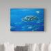 Trademark Fine Art Wilhelm Goebel Sea Turtle - Wrapped Canvas Graphic Art Print Canvas in White | 30 H x 47 W x 2 D in | Wayfair ALI33654-C3047GG