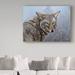 Trademark Fine Art Ron Parker Coyote Portrait - Wrapped Canvas Graphic Art Print Canvas in Brown/Gray/Green | 14 H x 19 W x 2 D in | Wayfair