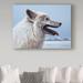 Trademark Fine Art 'Arctic Wolf Portrait' Graphic Art Print on Wrapped Canvas in Blue/Gray | 18 H x 24 W x 2 D in | Wayfair ALI32326-C1824GG