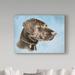 Trademark Fine Art 'Chocolate Lab' Graphic Art Print on Wrapped Canvas in Blue/Brown | 18 H x 24 W x 2 D in | Wayfair ALI33010-C1824GG