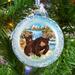 The Holiday Aisle® Grizzly Play Ball Ornament Holiday Splendor Collection Glass in Blue | 3.5 H x 3 W x 1 D in | Wayfair