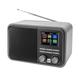 Dual,75299,DAB AA851 Digitalradiomit Akku undBluetooth, DAB+ / UKW, MP3,USB-/SD-Anschluss, Farbdisplay, AUX-In, Senderspeicher, Teleskopstabantenne, Grau