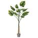 Vickerman 525777 - 54" Potted Grand Split Philo Tree 11Lvs (TB180654) Home Office Bushes