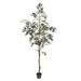 Vickerman 525746 - 7' Potted Olive Tree 1175Lvs (TB180584) Olive Home Office Tree