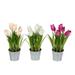 Vickerman 524756 - 10.5" Asst Tulip in Metal Pot Set of 3 (FJ181001) Home Office Flowers in Pots Vases and Bowls