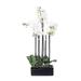 Vickerman 516515 - 21" Potted Orchid x 5-White (FC170602) Home Office Flowers in Pots Vases and Bowls