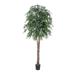 Vickerman 318928 - 7' Green Smilax Deluxe (TDX1470-07) Smilax Home Office Tree