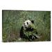 East Urban Home 'Giant Panda Eating Bamboo, Wolong Valley, Himalaya, China' Photographic Print in Green | 16 H x 24 W x 1.5 D in | Wayfair