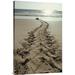 East Urban Home Green Sea Turtle Returning to the Sea After Nesting, Turtle Bay, Galapagos - Wrapped Canvas Photograph Print Canvas, | Wayfair