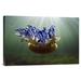 East Urban Home 'Upside-Down Jellyfish, Jardines De La Reina National Park, Cuba' Photographic Print, Wood in Gray | 16 H x 24 W x 1.5 D in | Wayfair