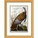 Global Gallery Wild Turkey, Male by John James Audubon Framed Painting Print Metal | 32 H x 24.71 W x 1.5 D in | Wayfair DPF-264575-22-102