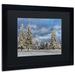 Trademark Fine Art 'First Snow of the Year' Framed Painting Print on Canvas Canvas | 16 H x 20 W x 0.5 D in | Wayfair LBR0306-B1620BMF